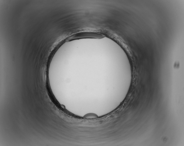 X0000099560011200806061550