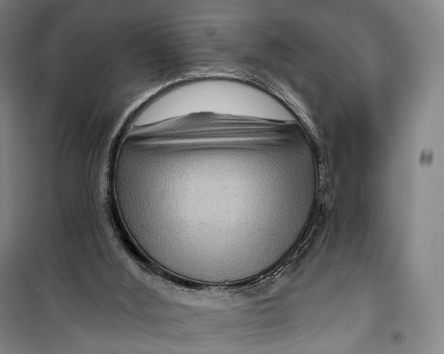 X0000099560012200806061550