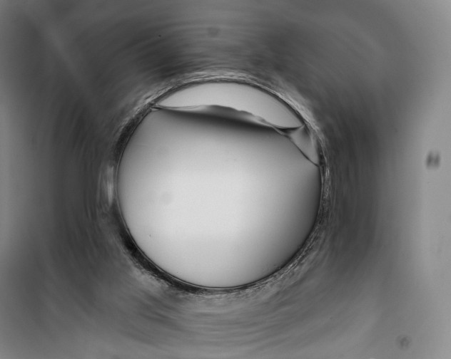 X0000099560013200806061550