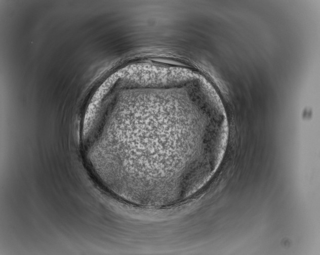 X0000099560014200806061550