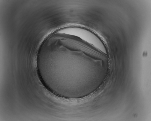 X0000099560015200806061550