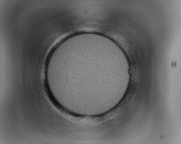 X0000099560016200806061550