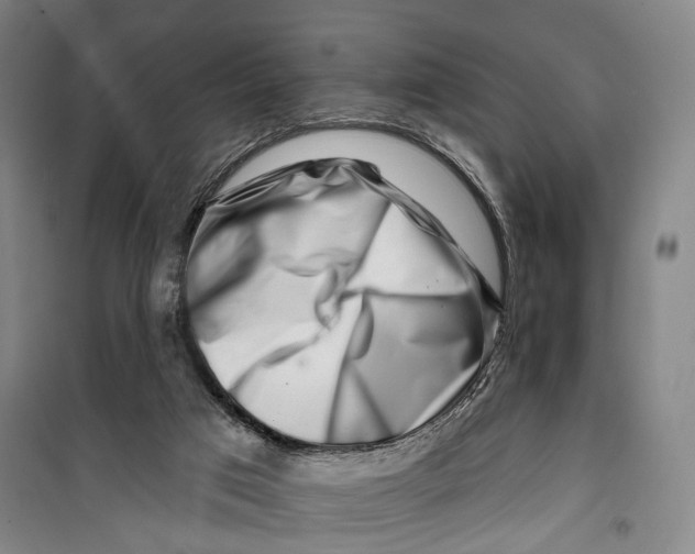 X0000099560017200806061550