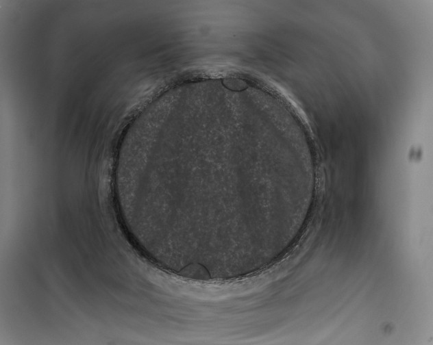 X0000099560018200806061550