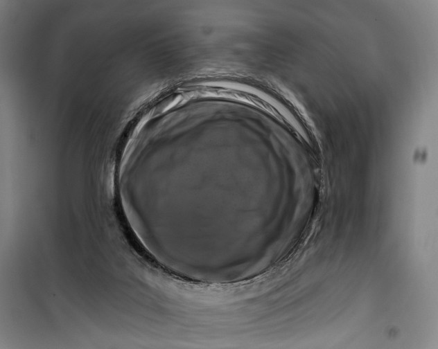 X0000099560019200806061550