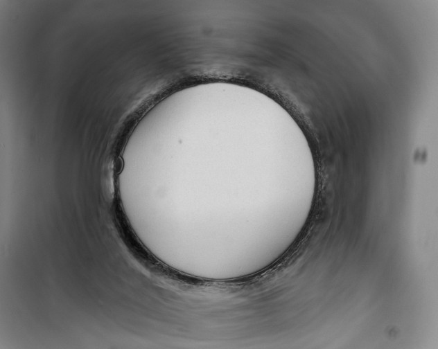 X0000099560020200806061550