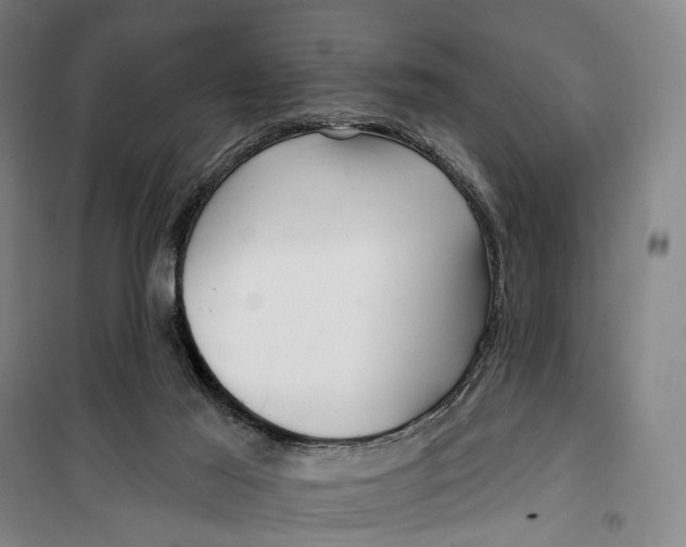 X0000099560021200806061550