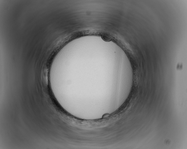 X0000099560022200806061550