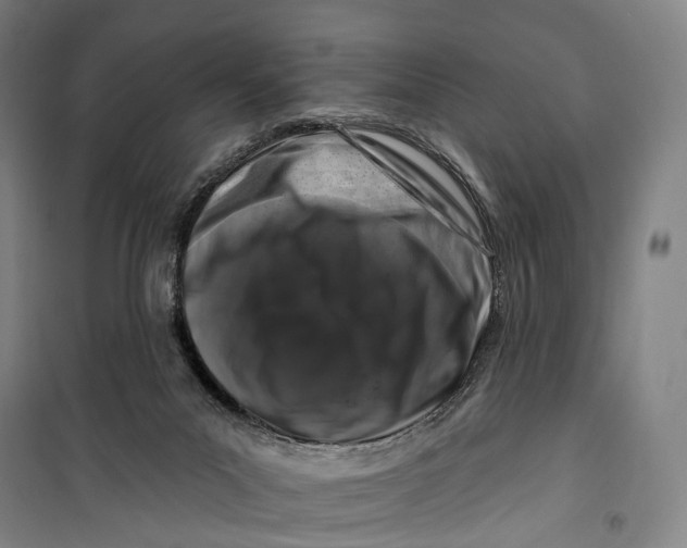 X0000099560023200806061550