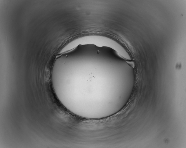 X0000099560025200806061550