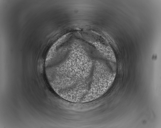 X0000099560026200806061550