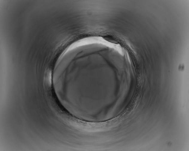 X0000099560027200806061550