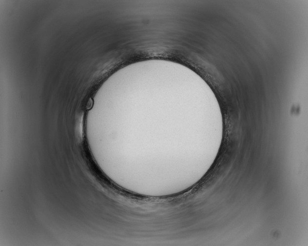 X0000099560028200806061550