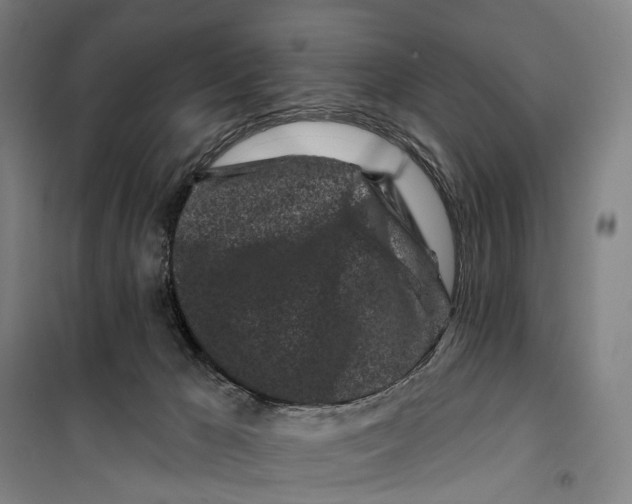 X0000099560029200806061550