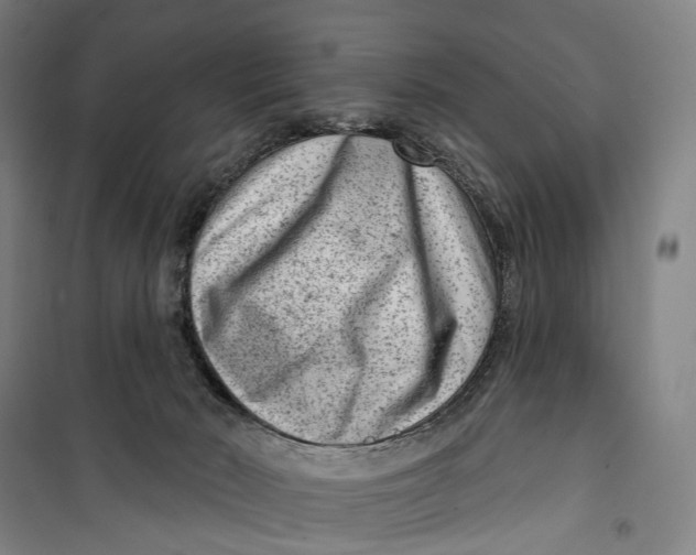 X0000099560030200806061550