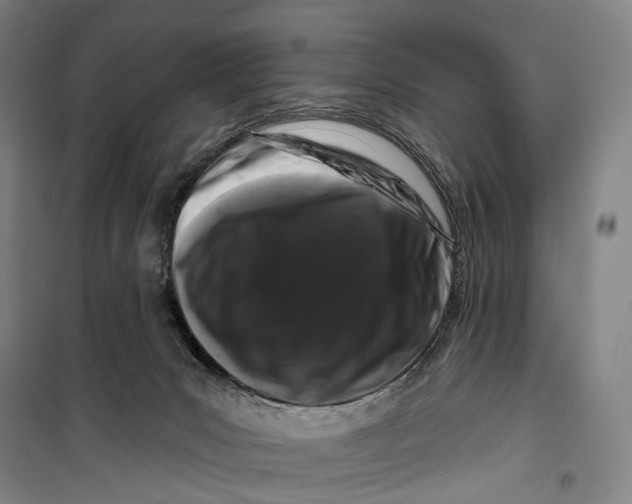 X0000099560031200806061550