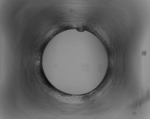 X0000099560032200806061550