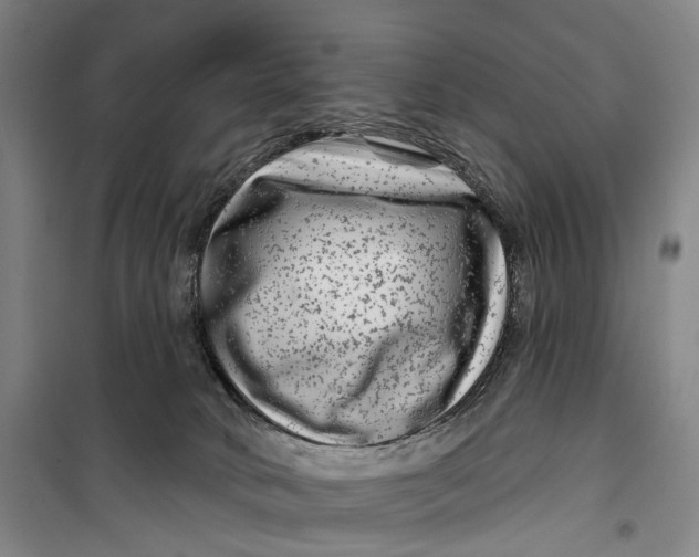 X0000099560034200806061550