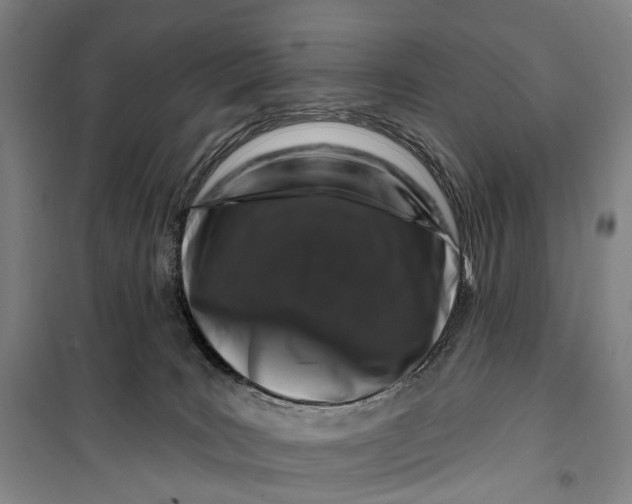 X0000099560035200806061550