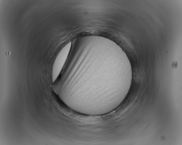 X0000099560036200806061550