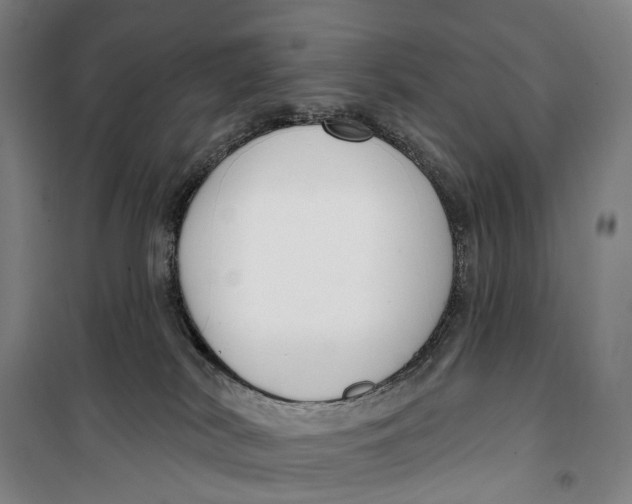 X0000099560038200806061550