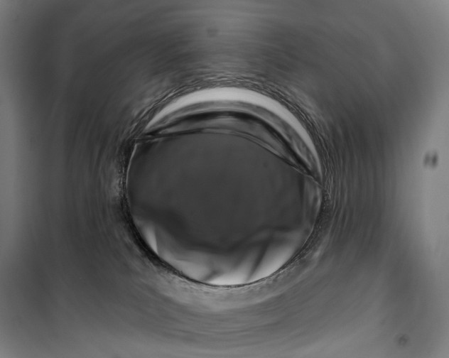 X0000099560039200806061550