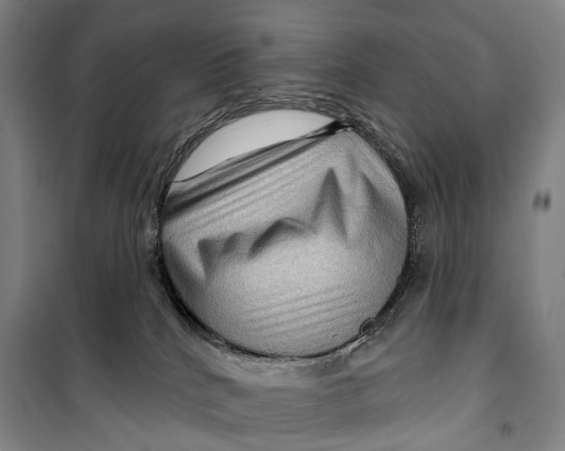 X0000099560040200806061550