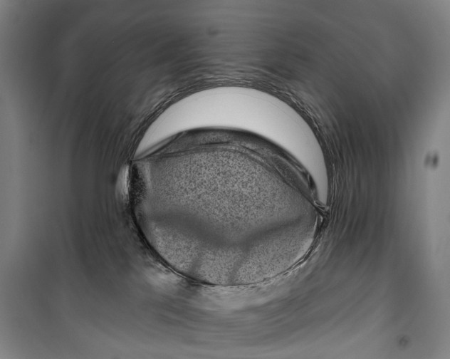 X0000099560041200806061550