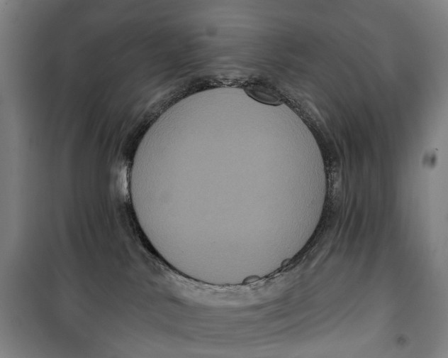 X0000099560042200806061550