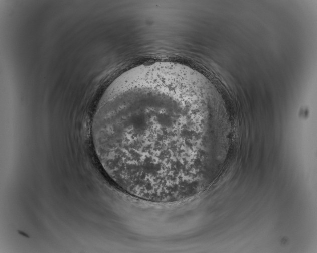 X0000099560043200806061550