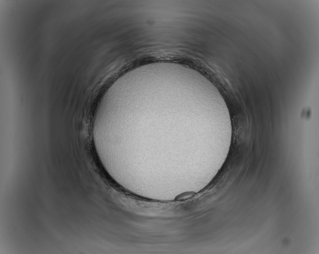 X0000099560044200806061549