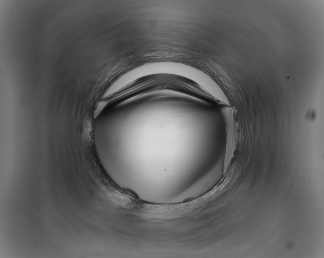 X0000099560045200806061549