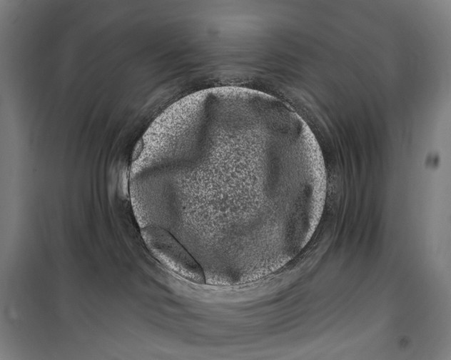 X0000099560046200806061549