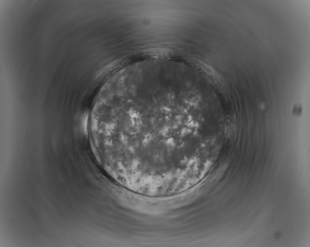 X0000099560047200806061549