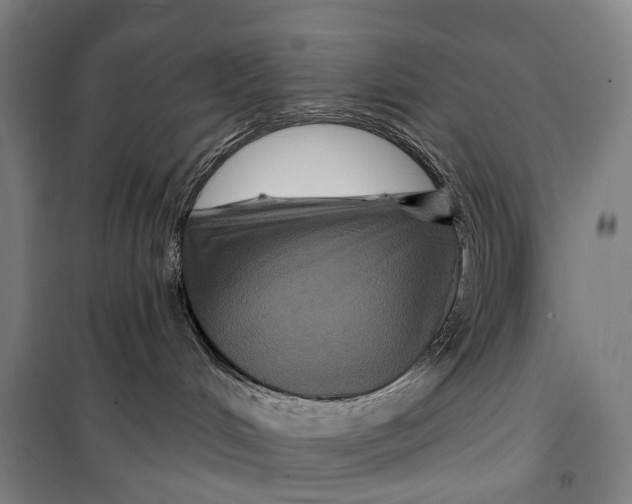 X0000099560048200806061549