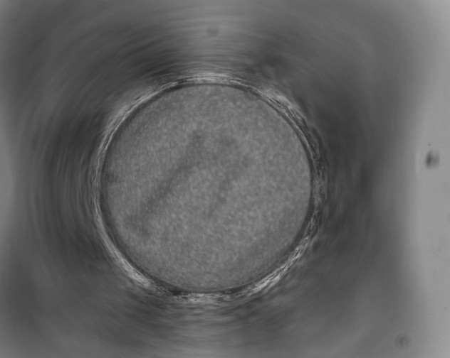 X0000099560049200806061549