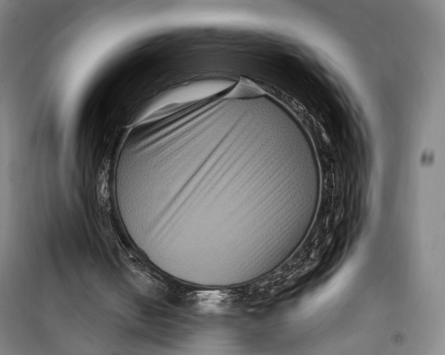 X0000099560050200806061549