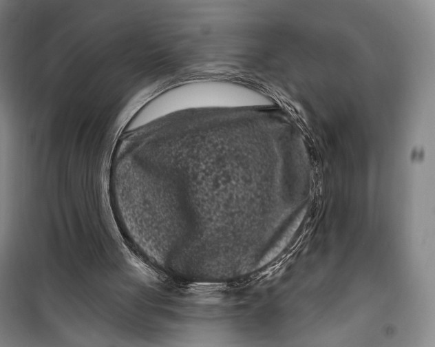 X0000099560051200806061549