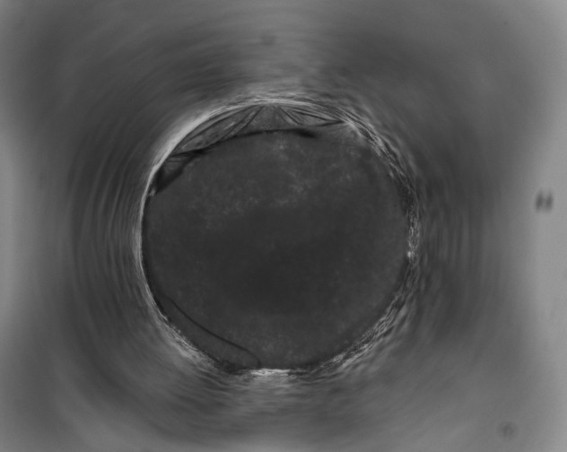 X0000099560052200806061549