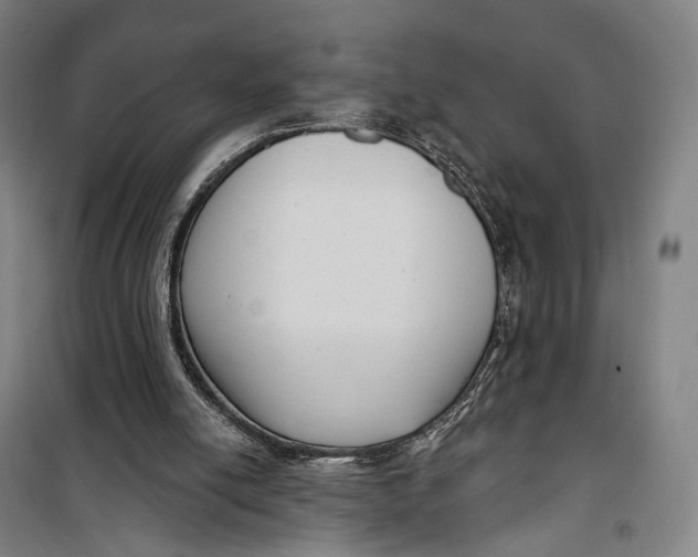 X0000099560054200806061549