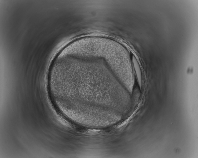 X0000099560055200806061549