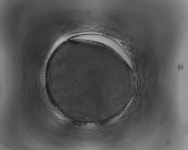 X0000099560056200806061549