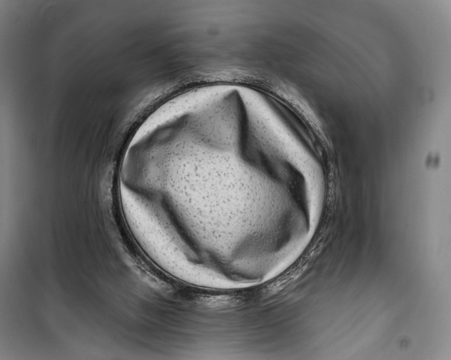 X0000099560058200806061549