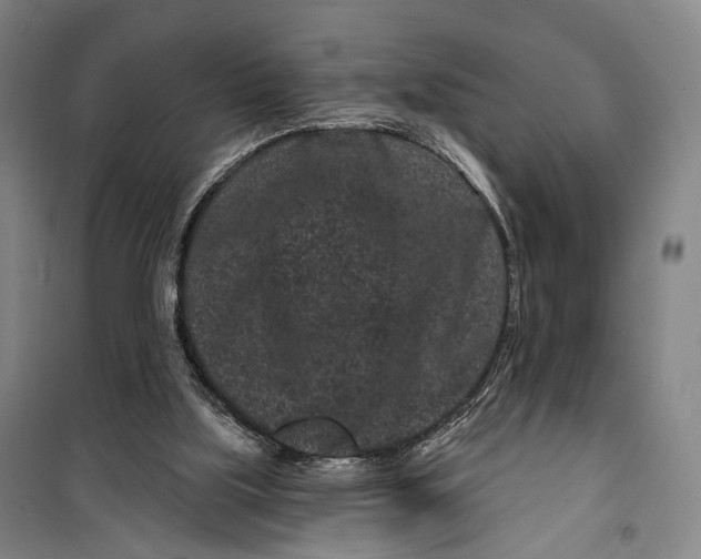 X0000099560059200806061549