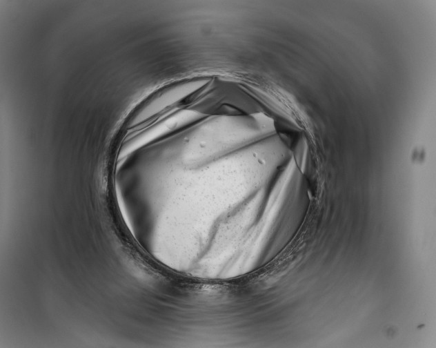 X0000099560060200806061549