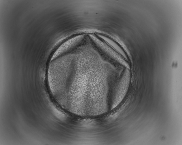 X0000099560063200806061549