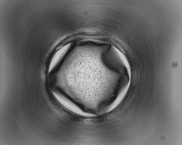 X0000099560064200806061549