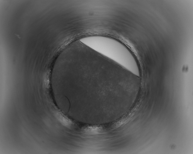 X0000099560065200806061549