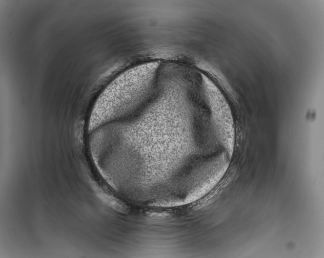 X0000099560066200806061549