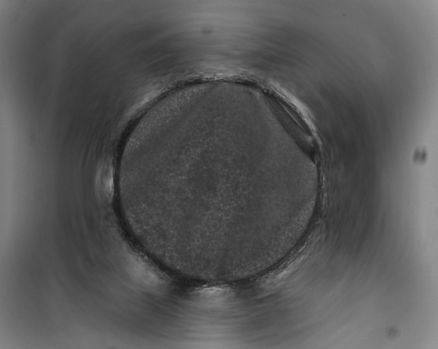 X0000099560067200806061549